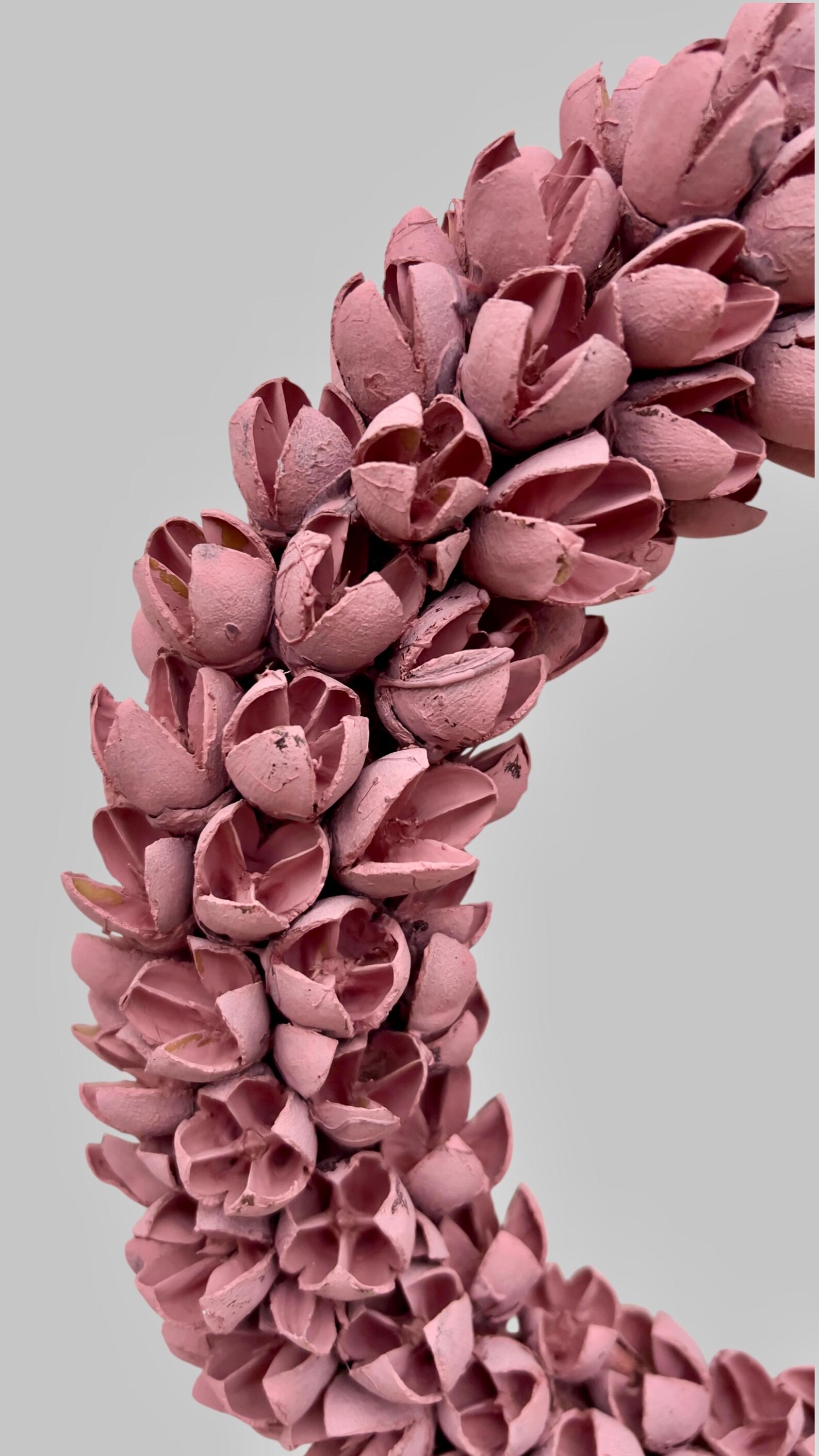 Pinker Türkranz – Vorschaubild