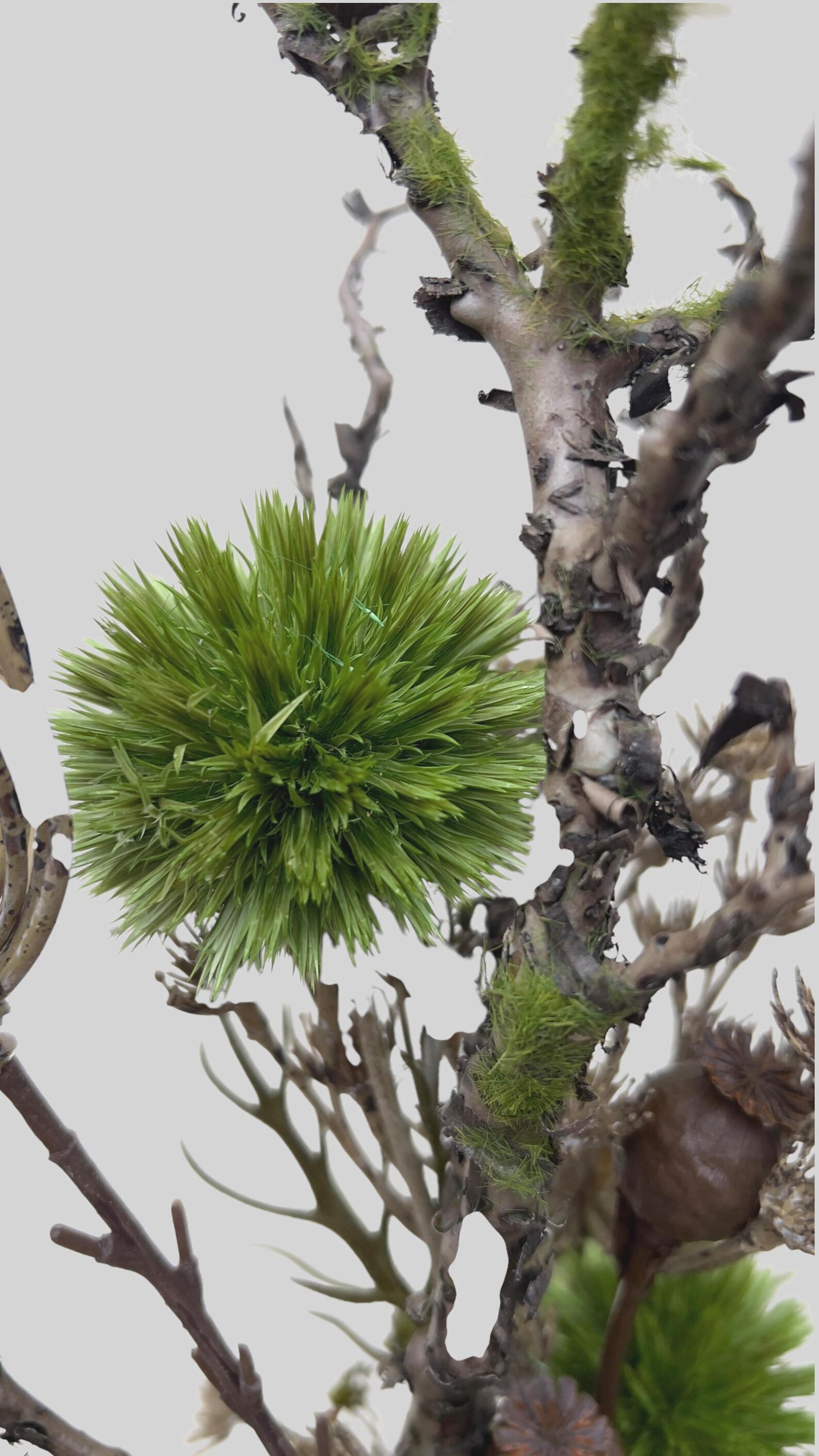 Trockenblumen – Vorschaubild